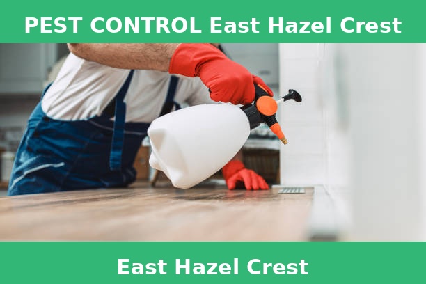 PEST CONTROL East Hazel Crest